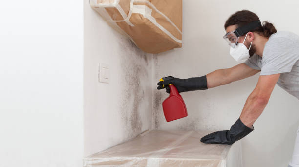 Professional Crawl Space Mold Removal technician working in Cedarhurst, NY
