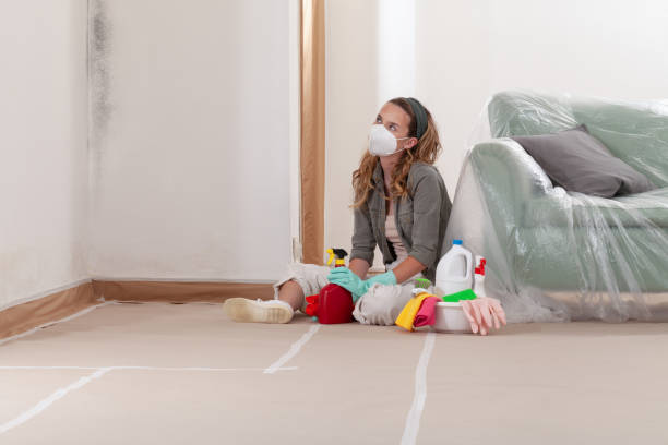 Trusted Crawl Space Mold Removal service in Cedarhurst, NY - WQB Mold Removal